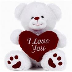 Teddy Bear 