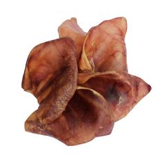Pigs ear
