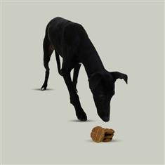 Gourmet Burger - Venison